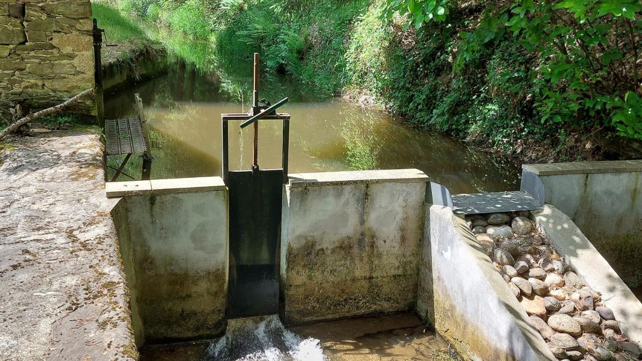 Moulin De Serre Villa Sainte-Juliette-sur-Viaur Dış mekan fotoğraf