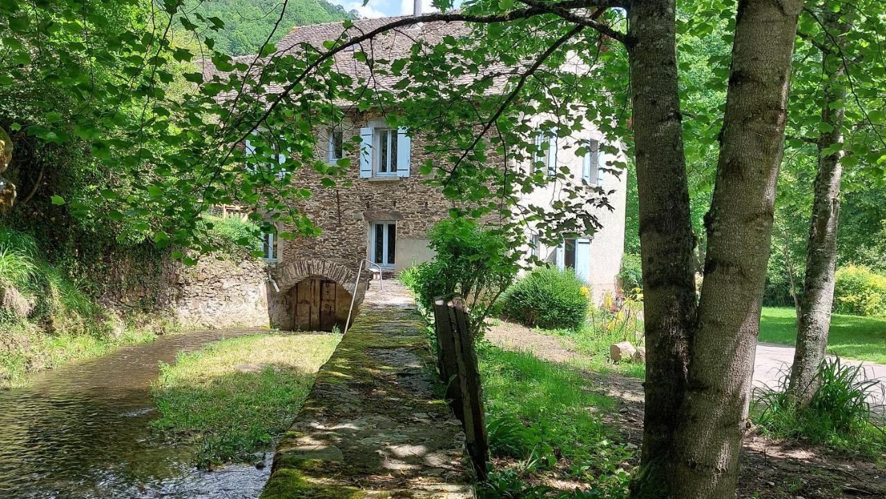 Moulin De Serre Villa Sainte-Juliette-sur-Viaur Dış mekan fotoğraf